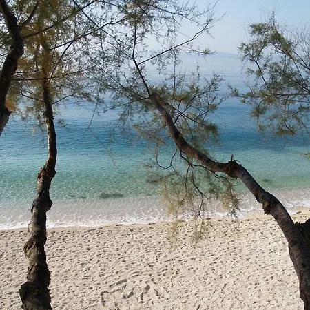 Brand New Luxury Blue Gallery Apartment